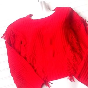 No Boundaries Chenille Fringed Red Crop Sweater